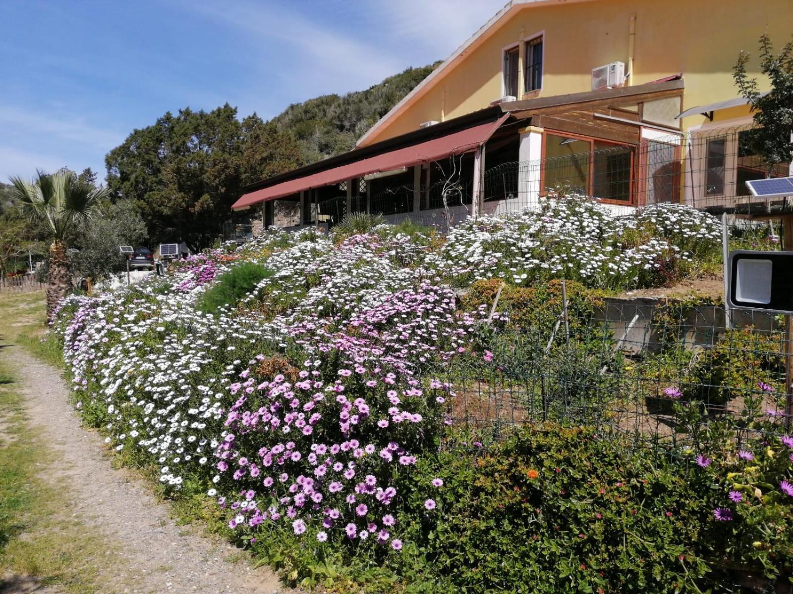 Il Lentischio Ξενοδοχείο Cala Sapone Εξωτερικό φωτογραφία